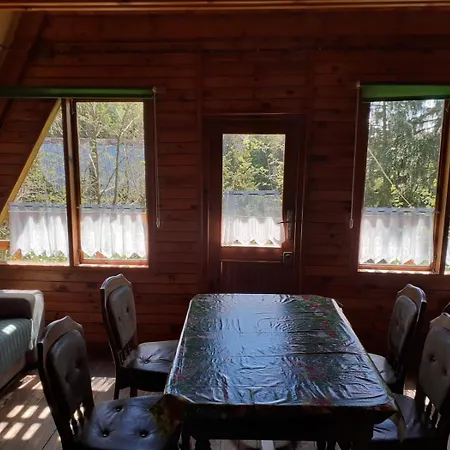 Nad Jeziorem I Pod Lasem