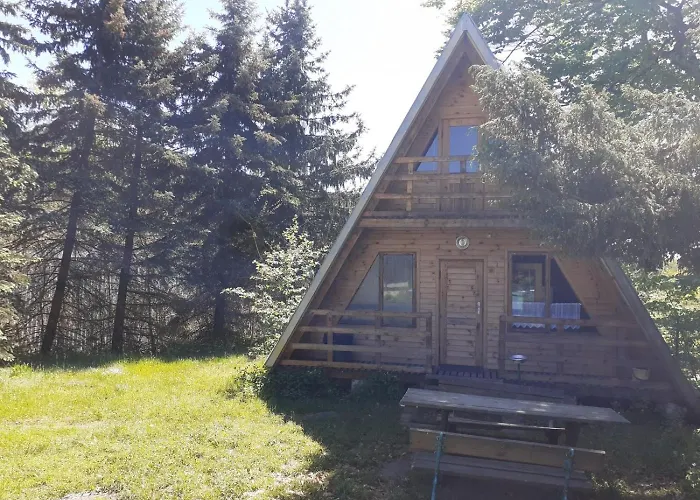 Nad Jeziorem I Pod Lasem Lodge