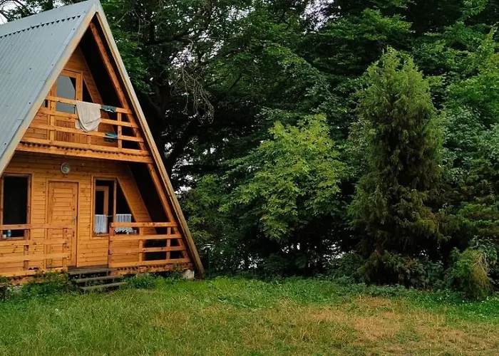 Nad Jeziorem I Pod Lasem *