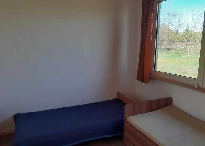 Nad Jeziorem I Pod Lasem