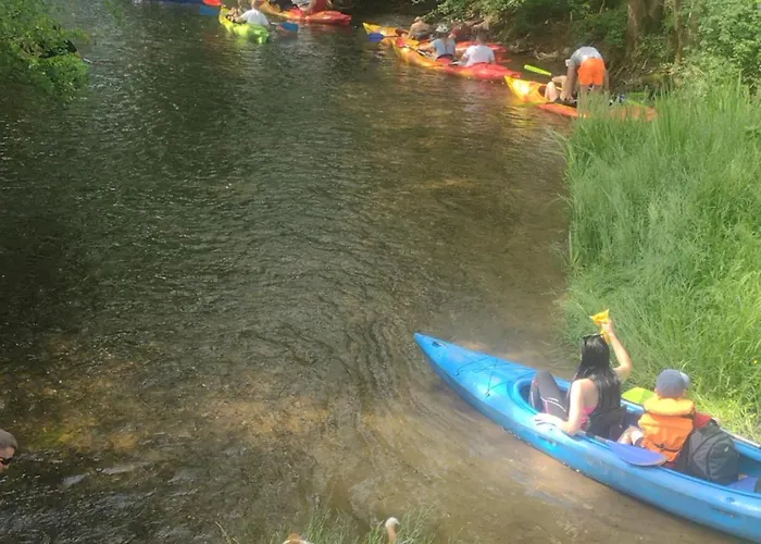 Nad Jeziorem I Pod Lasem Lodge